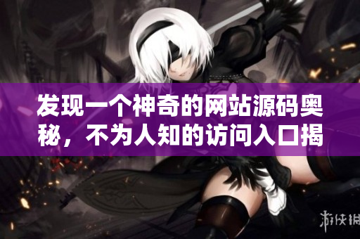发现一个神奇的网站源码奥秘，不为人知的访问入口揭秘
