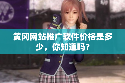 黄冈网站推广软件价格是多少，你知道吗？