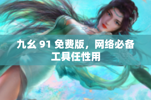 九幺 91 免费版，网络必备工具任性用