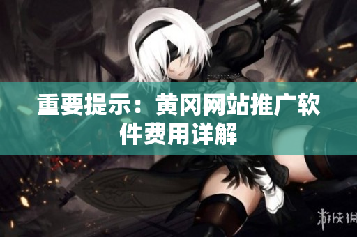 重要提示：黄冈网站推广软件费用详解