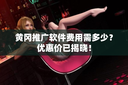 黄冈推广软件费用需多少？优惠价已揭晓！