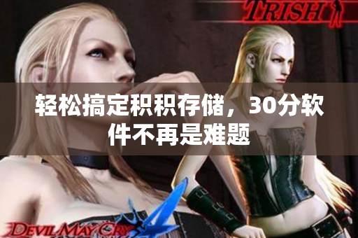 轻松搞定积积存储，30分软件不再是难题