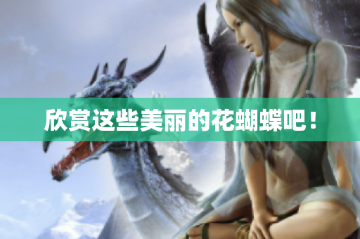 欣赏这些美丽的花蝴蝶吧！