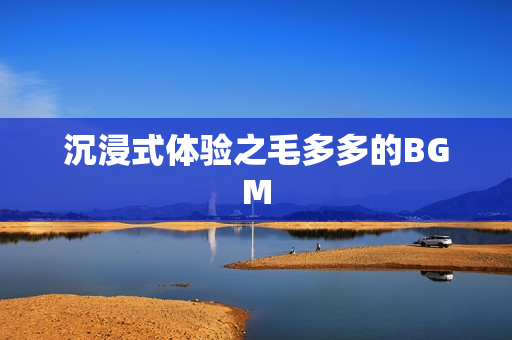 沉浸式体验之毛多多的BGM
