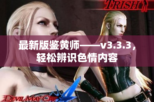最新版鉴黄师——v3.3.3，轻松辨识色情内容
