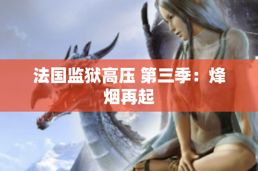 法国监狱高压 第三季：烽烟再起