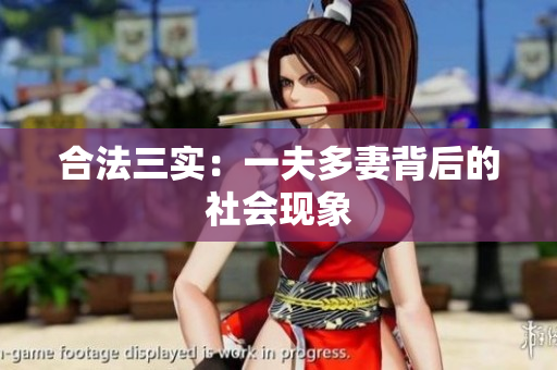 合法三实：一夫多妻背后的社会现象