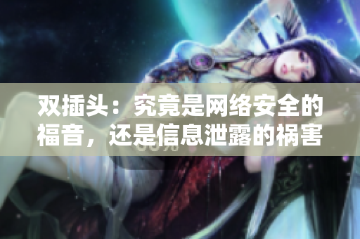 双插头：究竟是网络安全的福音，还是信息泄露的祸害？