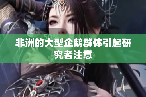 非洲的大型企鹅群体引起研究者注意