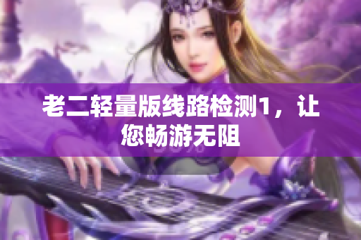 老二轻量版线路检测1，让您畅游无阻