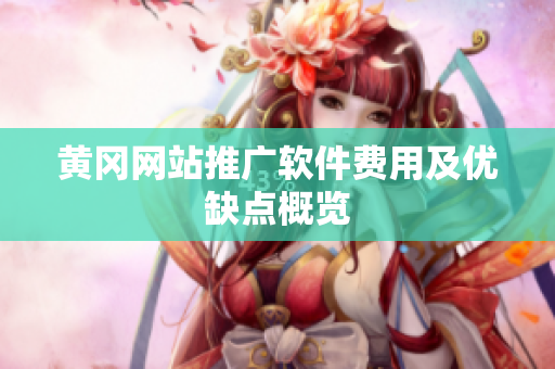 黄冈网站推广软件费用及优缺点概览