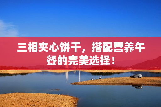三相夹心饼干，搭配营养午餐的完美选择！