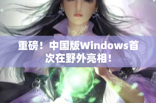 重磅！中国版Windows首次在野外亮相！