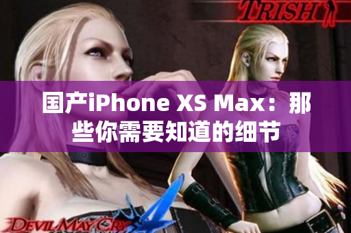 国产iPhone XS Max：那些你需要知道的细节