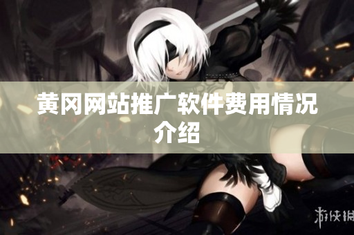 黄冈网站推广软件费用情况介绍