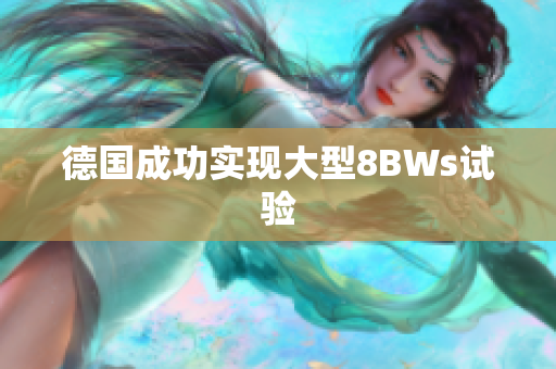 德国成功实现大型8BWs试验
