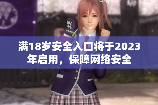 满18岁安全入口将于2023年启用，保障网络安全