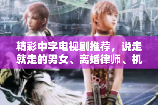 精彩中字电视剧推荐，说走就走的男女、离婚律师、机场特警等待你来追