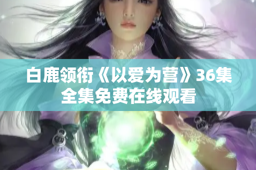 白鹿领衔《以爱为营》36集全集免费在线观看