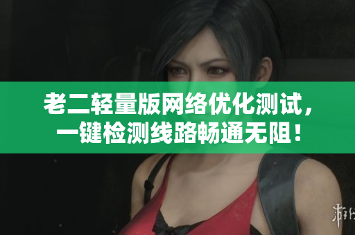 老二轻量版网络优化测试，一键检测线路畅通无阻！