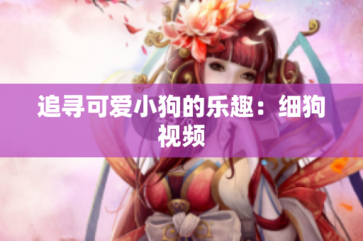 追寻可爱小狗的乐趣：细狗视频