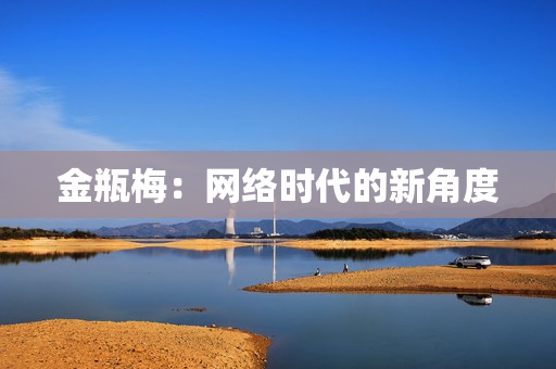 金瓶梅：网络时代的新角度