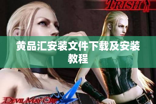 黄品汇安装文件下载及安装教程