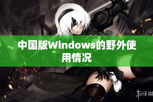 中国版Windows的野外使用情况