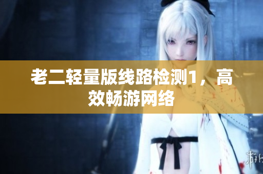 老二轻量版线路检测1，高效畅游网络