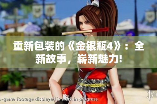 重新包装的《金银瓶4》：全新故事，崭新魅力!