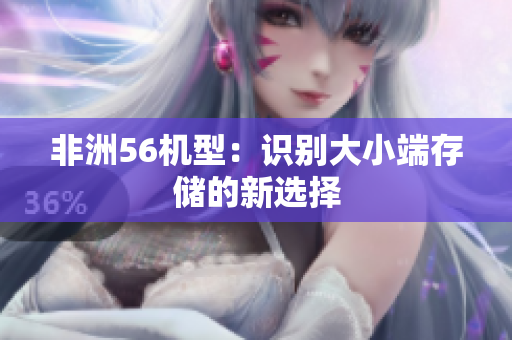 非洲56机型：识别大小端存储的新选择