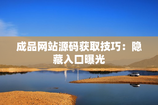成品网站源码获取技巧：隐藏入口曝光