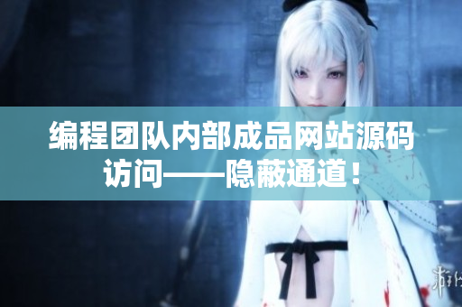 编程团队内部成品网站源码访问——隐蔽通道！
