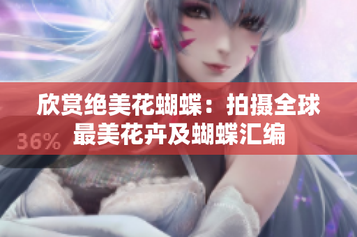 欣赏绝美花蝴蝶：拍摄全球最美花卉及蝴蝶汇编