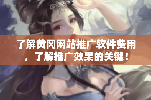 了解黄冈网站推广软件费用，了解推广效果的关键！