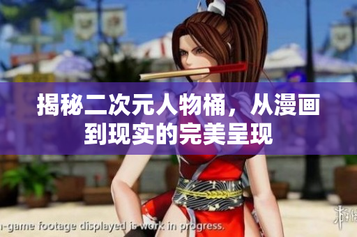 揭秘二次元人物桶，从漫画到现实的完美呈现