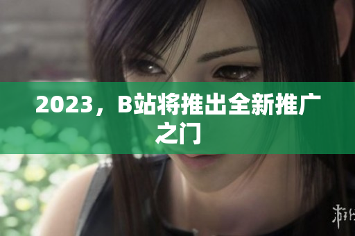 2023，B站将推出全新推广之门