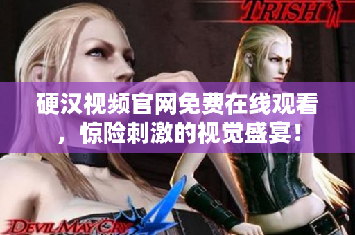 硬汉视频官网免费在线观看，惊险刺激的视觉盛宴！