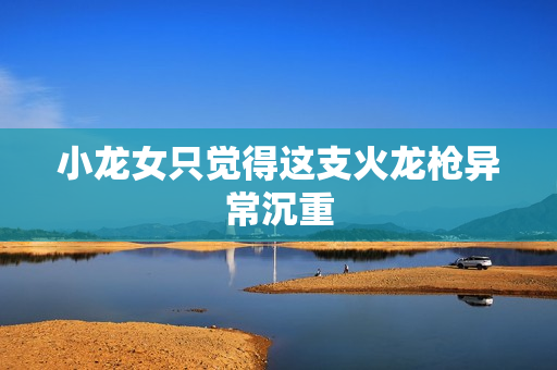 小龙女只觉得这支火龙枪异常沉重