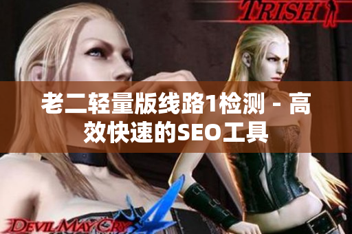 老二轻量版线路1检测 - 高效快速的SEO工具