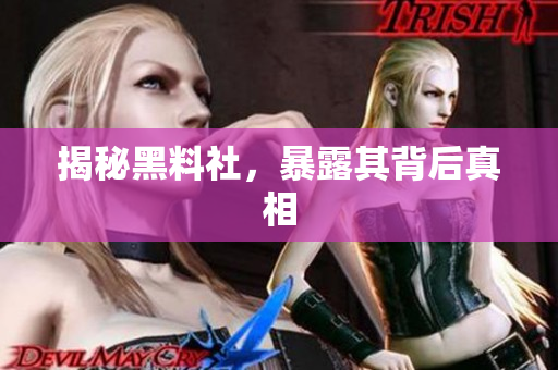 揭秘黑料社，暴露其背后真相