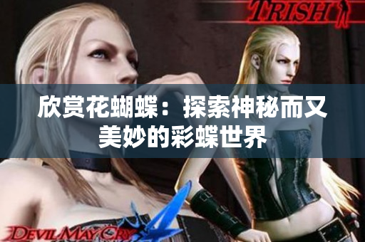 欣赏花蝴蝶：探索神秘而又美妙的彩蝶世界