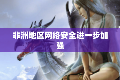 非洲地区网络安全进一步加强