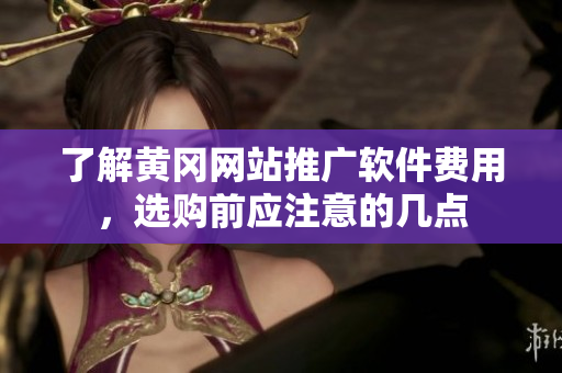 了解黄冈网站推广软件费用，选购前应注意的几点