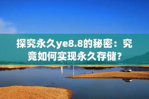 探究永久ye8.8的秘密：究竟如何实现永久存储？