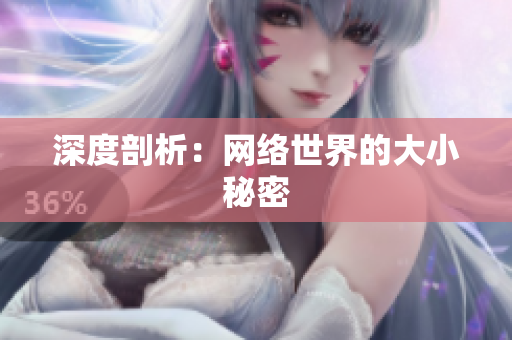 深度剖析：网络世界的大小秘密