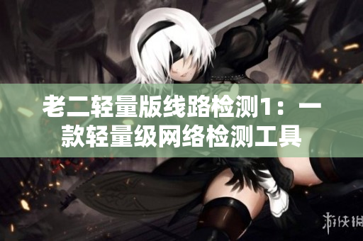 老二轻量版线路检测1：一款轻量级网络检测工具