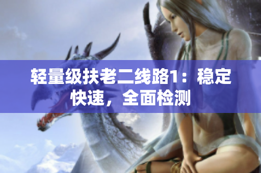 轻量级扶老二线路1：稳定快速，全面检测