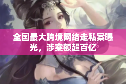 全国最大跨境网络走私案曝光，涉案额超百亿