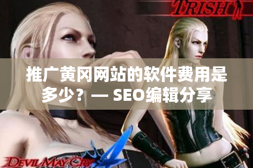 推广黄冈网站的软件费用是多少？— SEO编辑分享